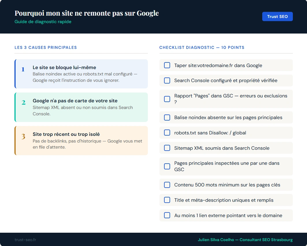 Infographie : pourquoi votre site ne remonte pas sur Google